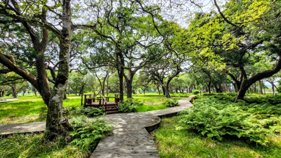 3 Bedroom Property for Sale in Brenton On Lake Western Cape